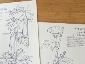 写し絵