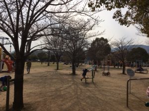 公園