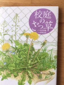 雑草