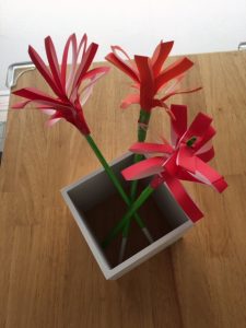 カーネーション